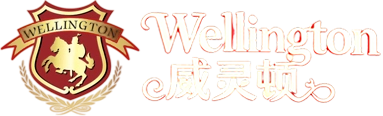 Wellington Logo