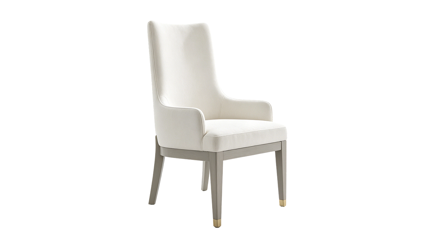 Modern dining chairs