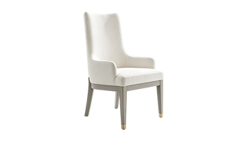 Modern dining chairs